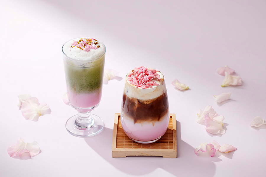 파노라마 라운지 벚꽃 음료.
