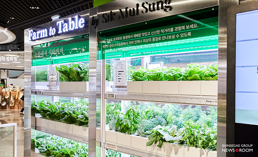 이마트 연수점에 위치한 스마트팜 기업 엔씽과 연계한 팜 투 테이블