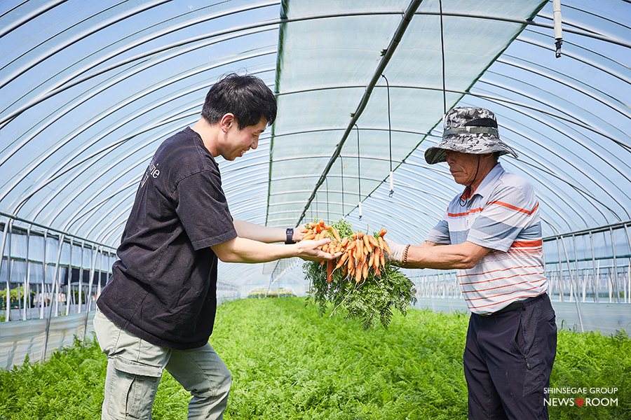 강덕한 바이어와 조용준 재배자가 수확한 스낵 당근을 확인하고 있다.