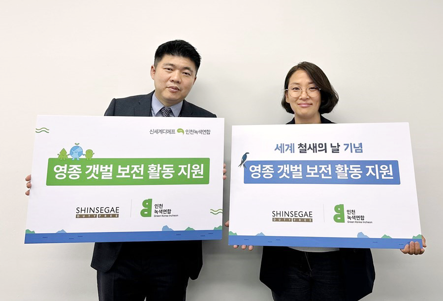 shinsegaeDF 관련 이미지