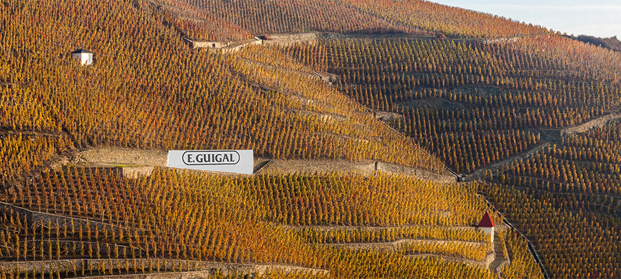 프랑스 론의 대표 와이너리, 이기갈의 와인 산지 (출처: www.guigal.com)
